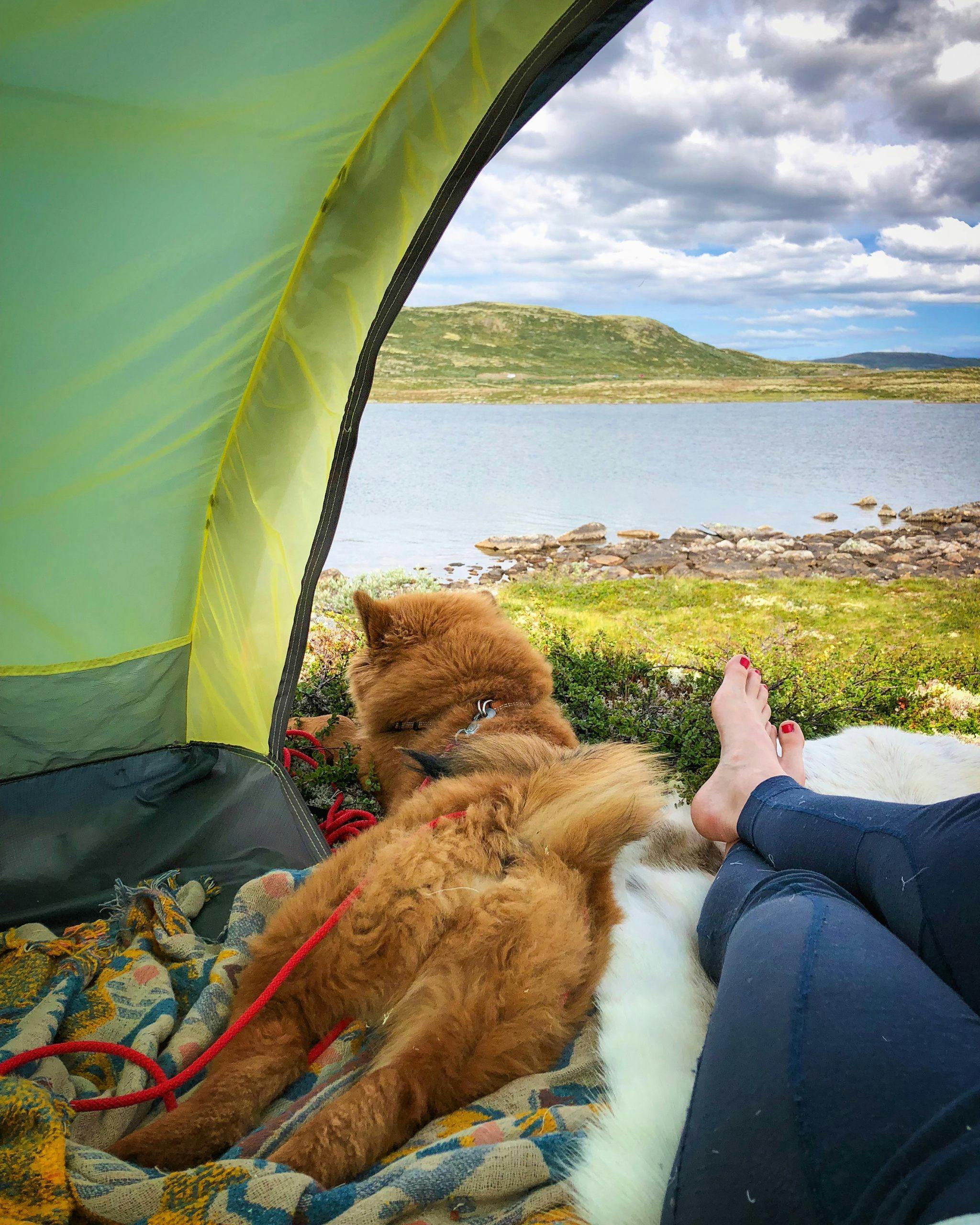 img 3393 Hardangervidda.