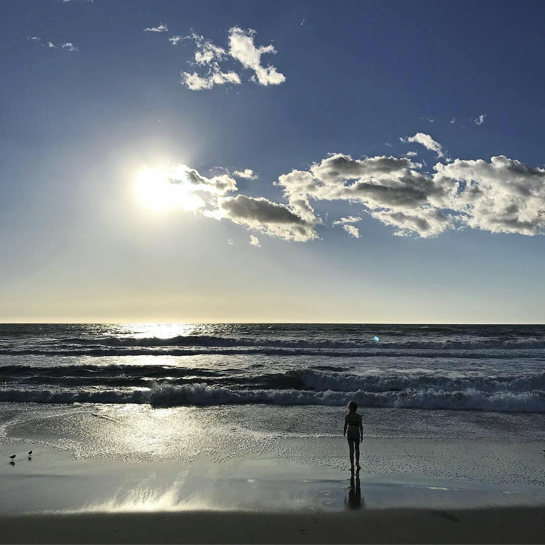 img 4165 AjUNU zH Y HKLppguu Venice beach i California reise i usa