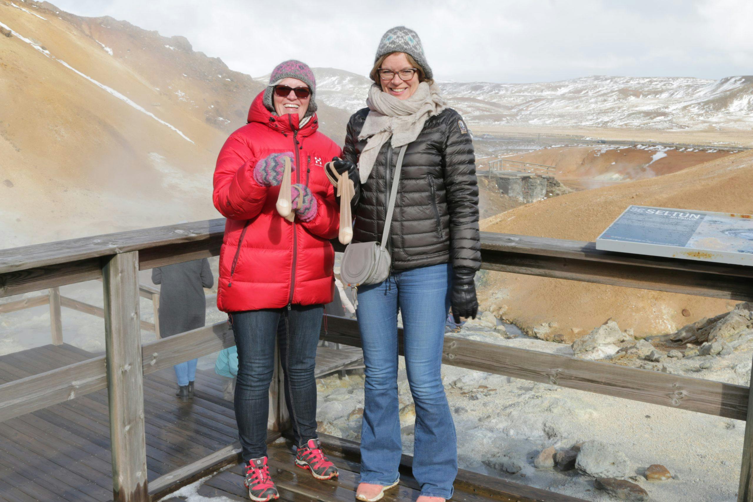 img 9397 Venninnetur til Island