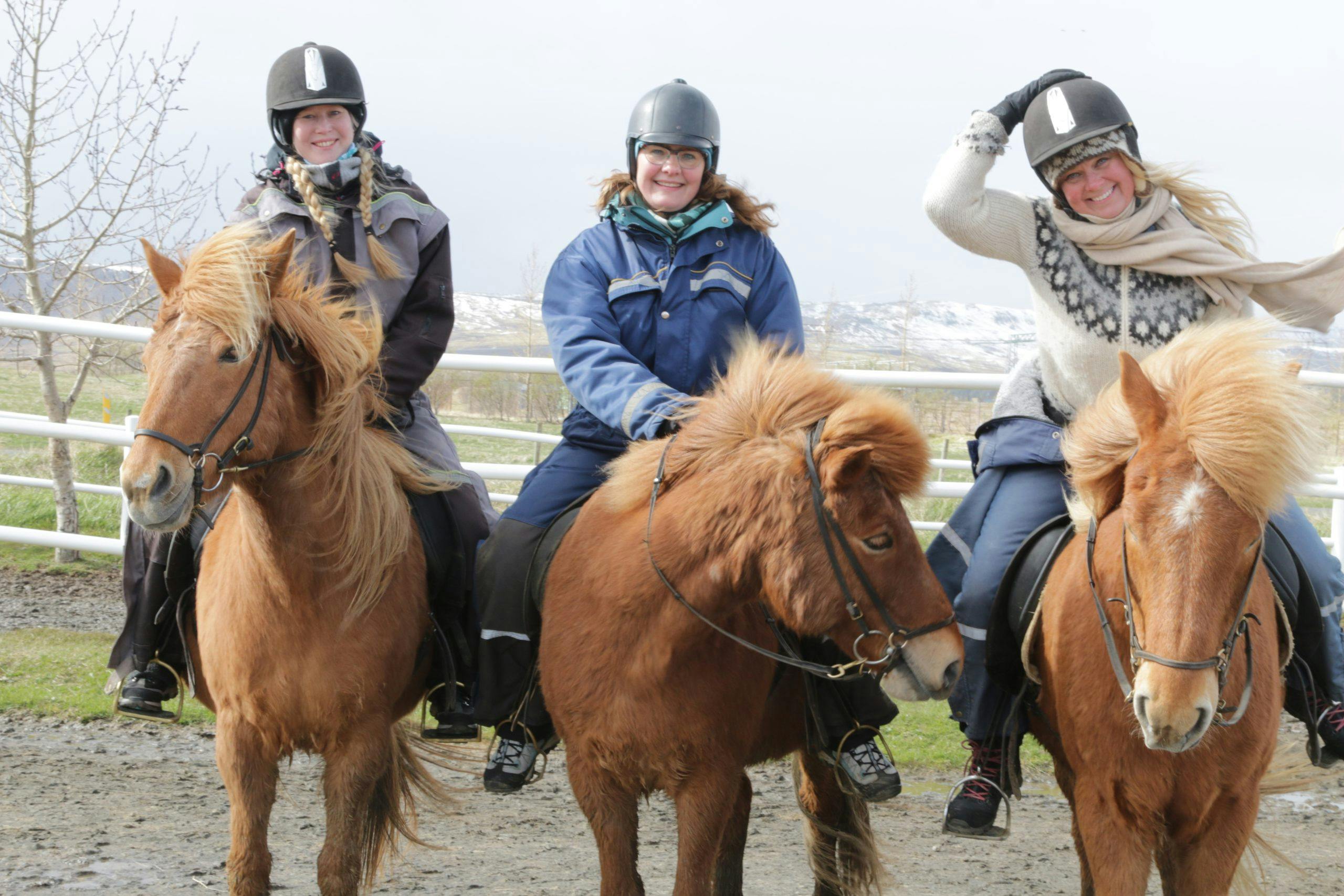 img 9455 t5WvI LckUGyNWCV