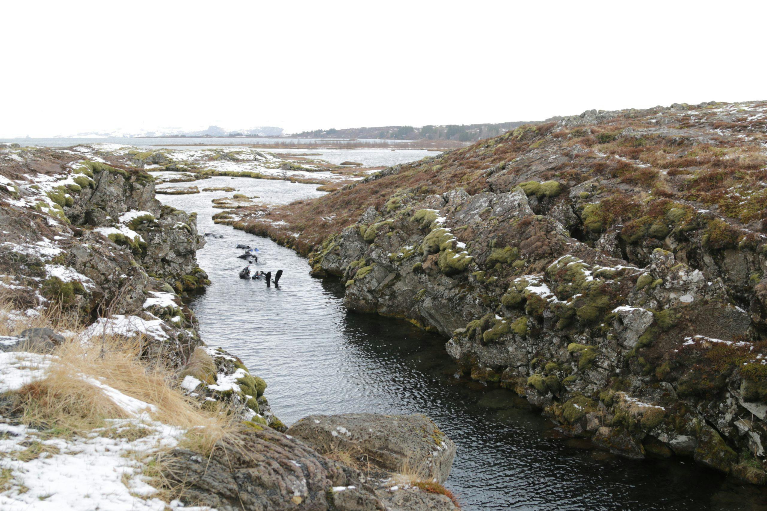 img 9587 Ved Islands nasjonalpark Thingvellir kan man snorkle i verdens klareste vann