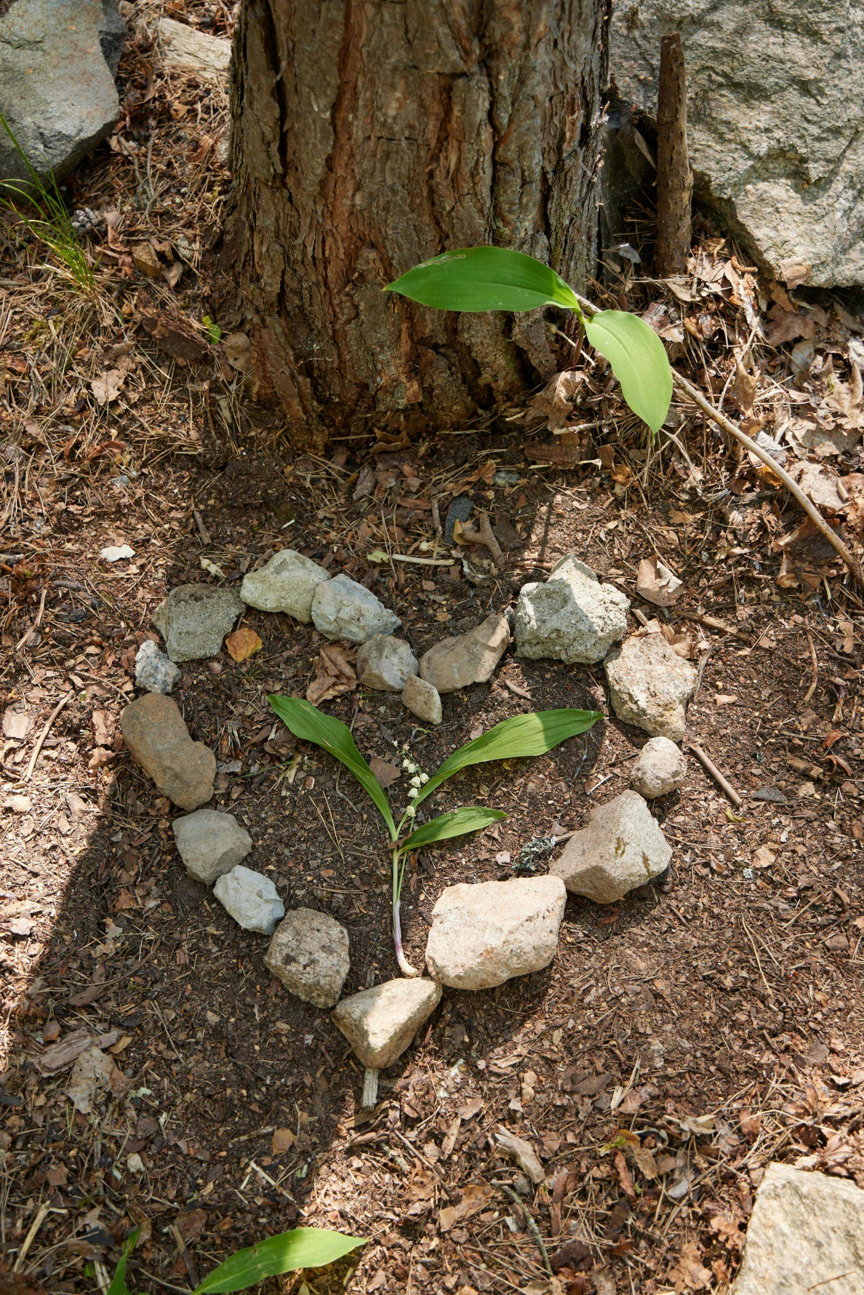 inger lise leo 23 2 Hjerte av stener