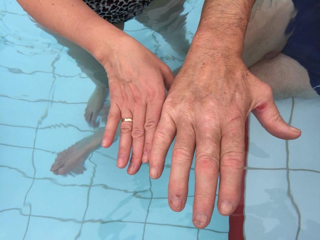 Den lokale fiskeren, Ørn: