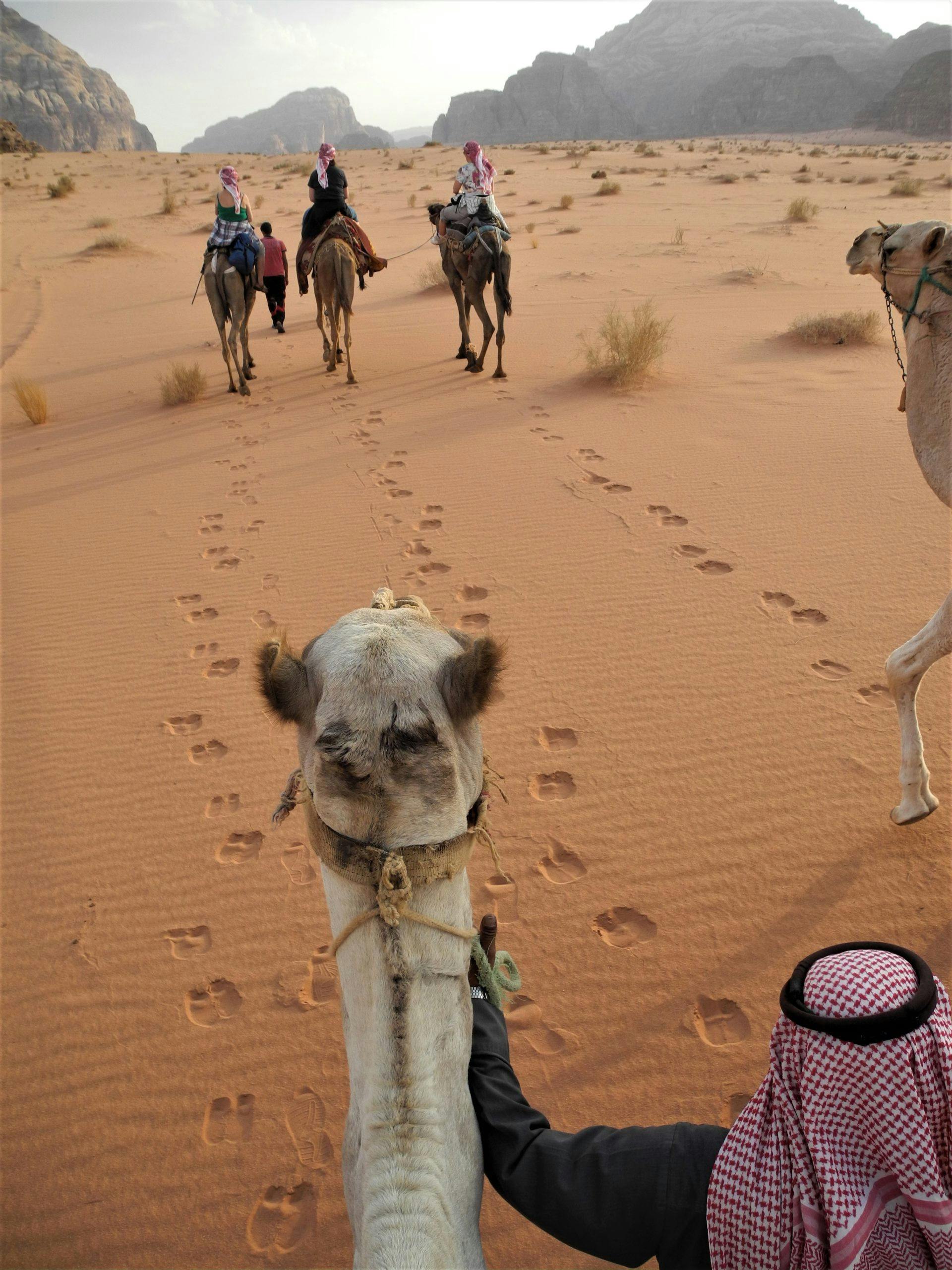 jordan3 222 50d5NUBH Lene Wikander, Wadi Rum