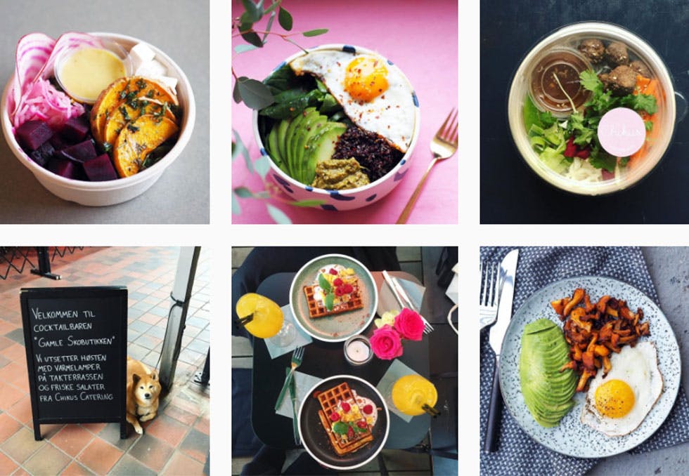 matblogger vegetarmat