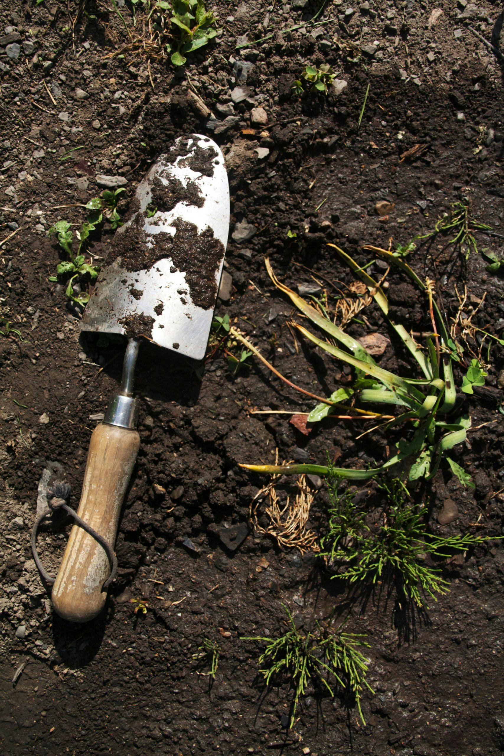 kari spade 6g2bkntUQgBkXKJm3DT1 hageredskap