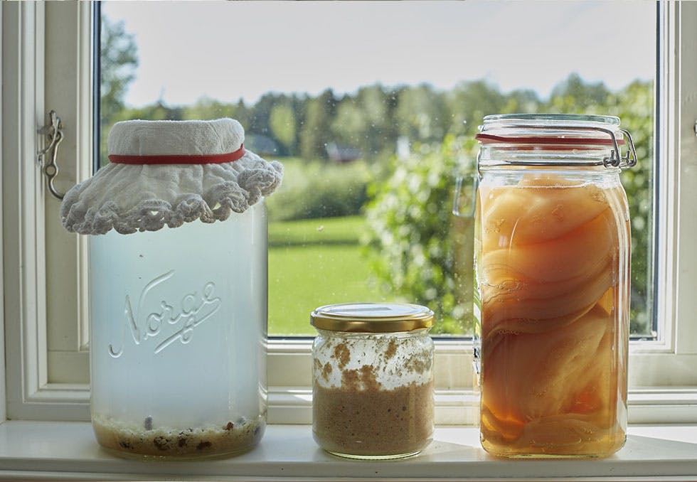 Fermentering, fermentert mat