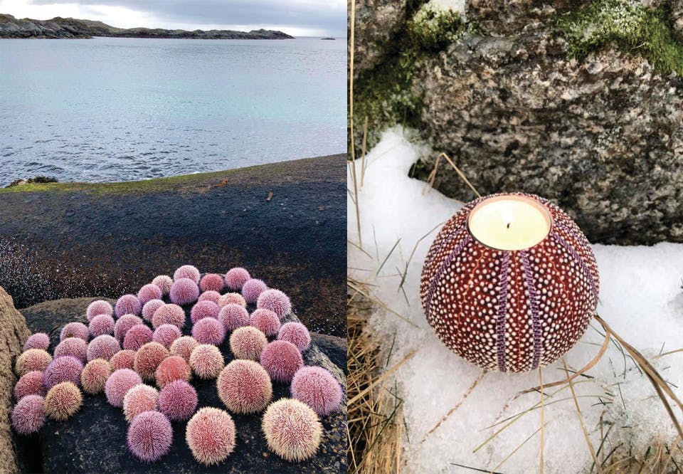 krakebolle Kråkeboller Lofoten telysholder Tanja Solberg