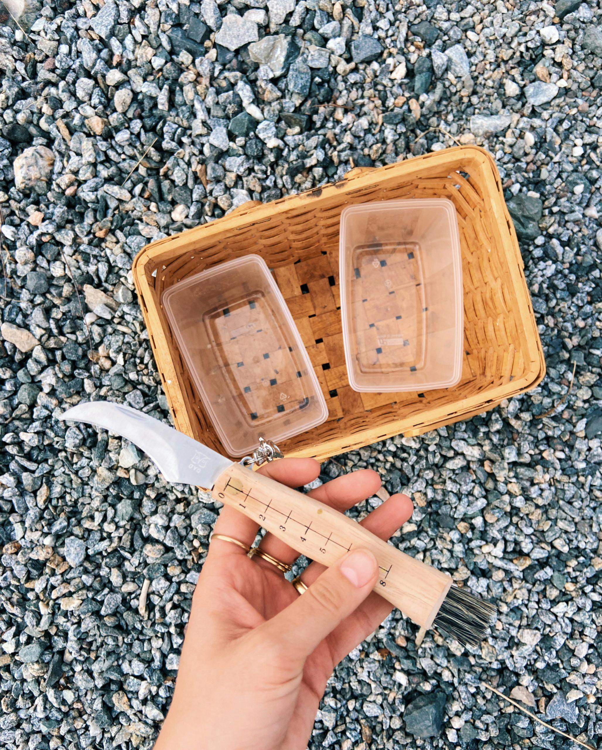 Processed with VSCO with g6 preset Sopp sanking