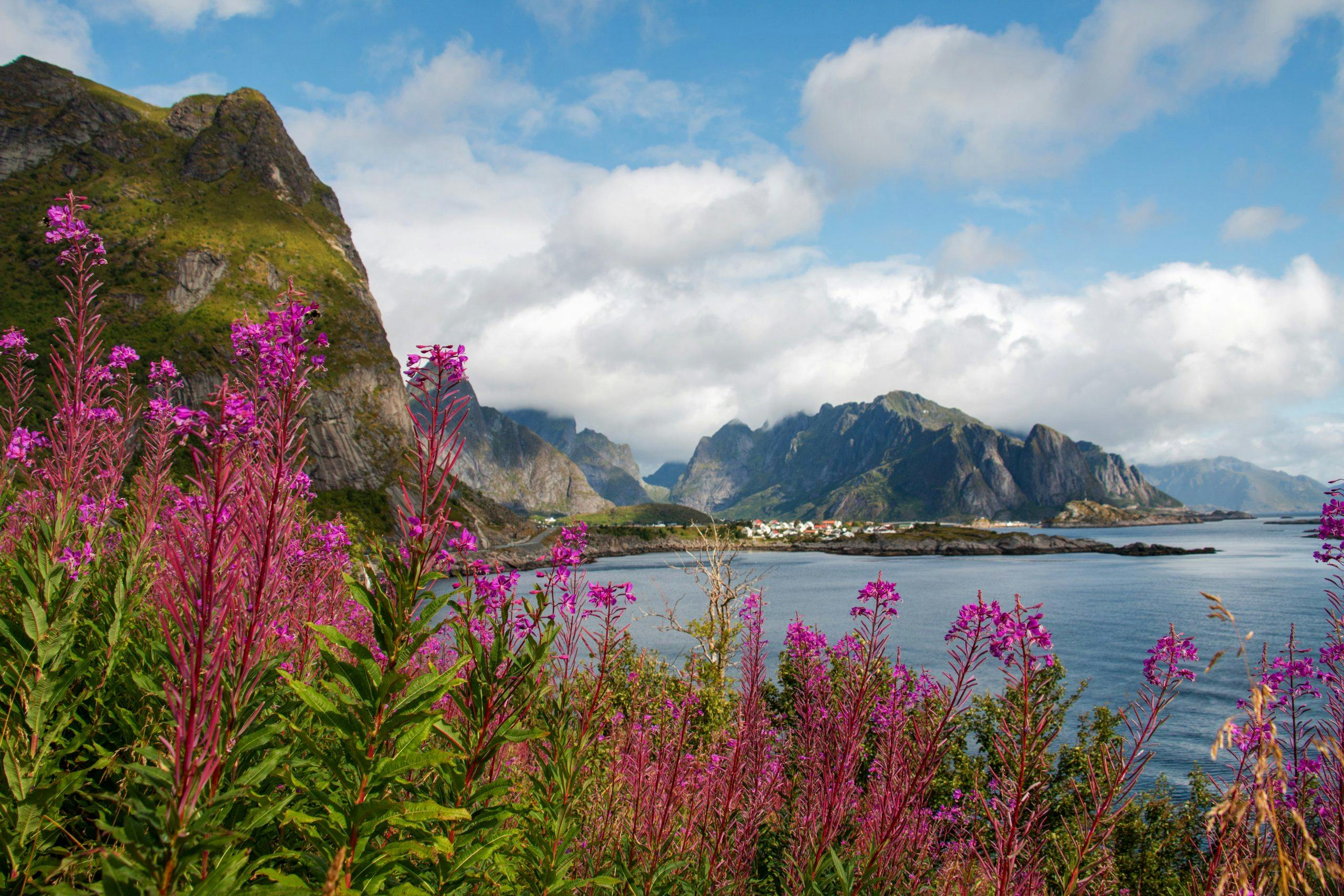 lofoten norge