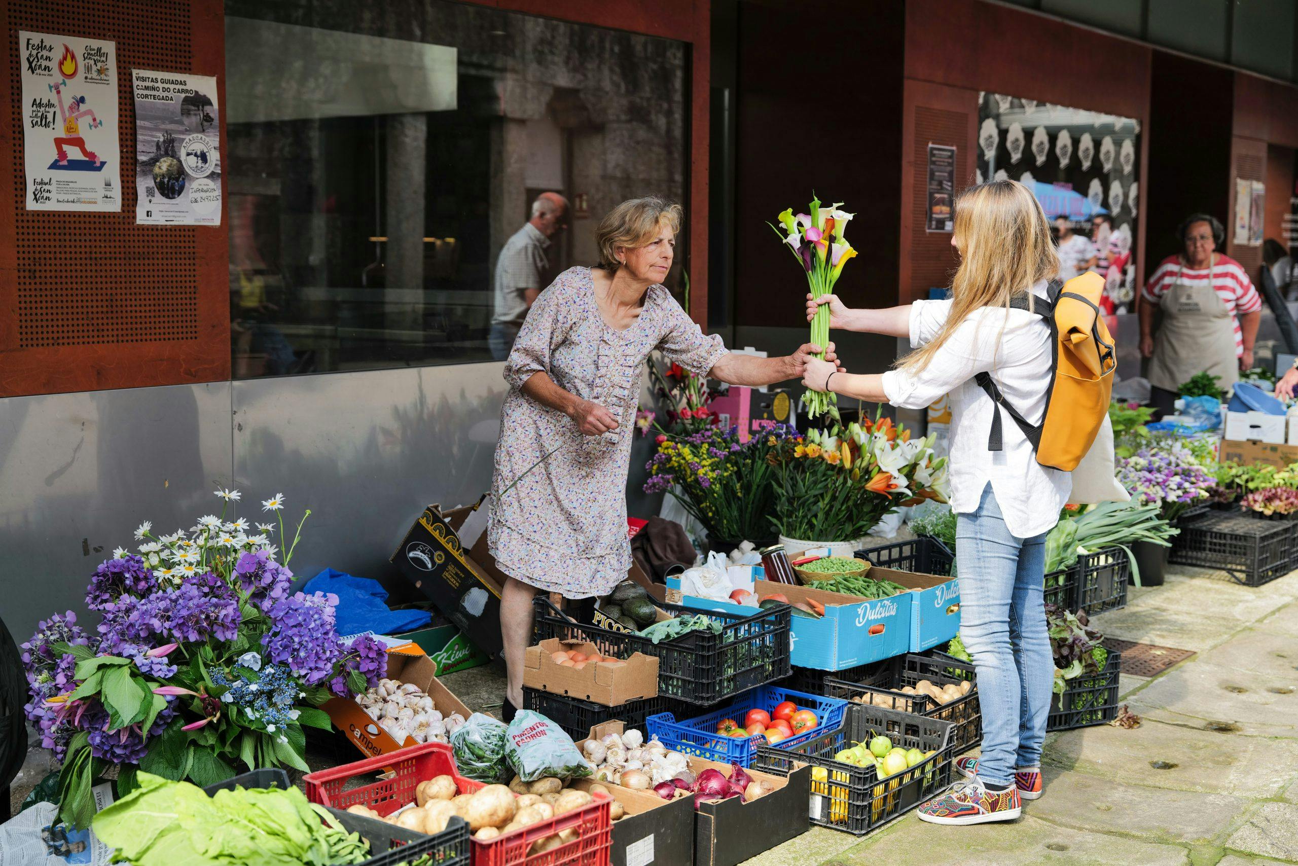 lucia galicia hellevalebrokk l1110663 Marked