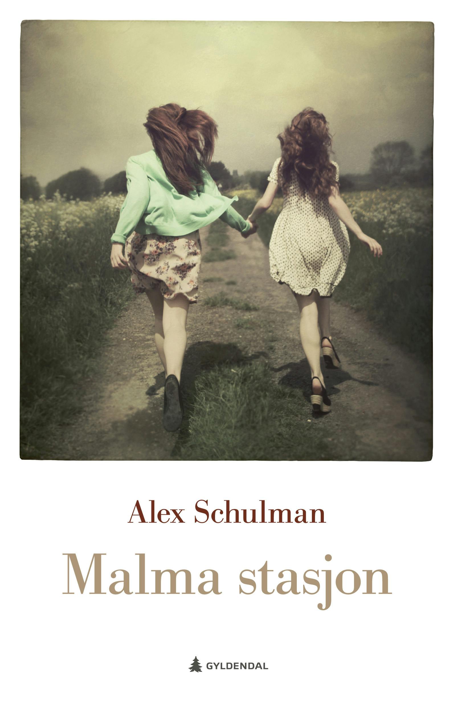 malma stasjon Alex Schulman bok