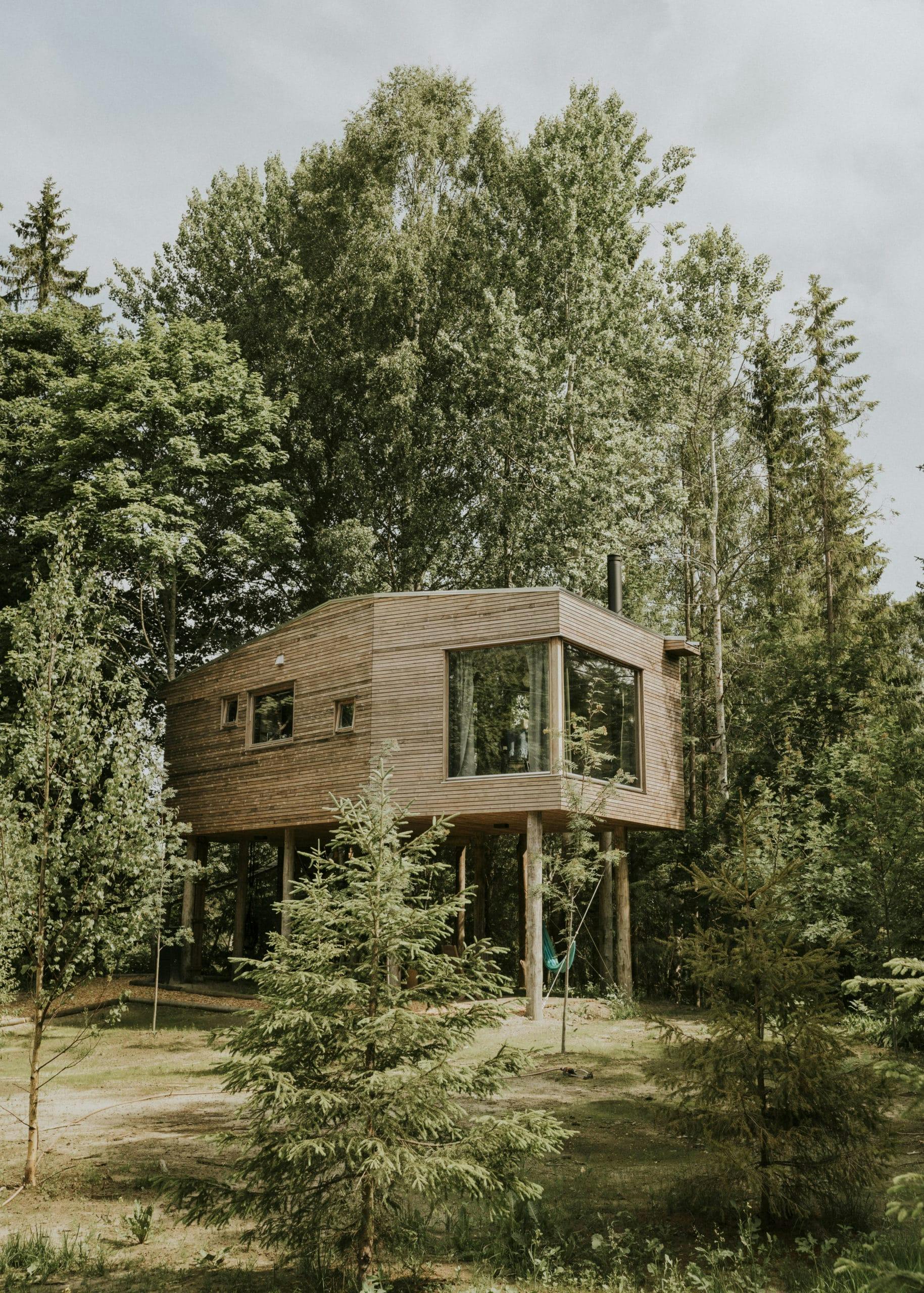 Tretopphytte med utsikt