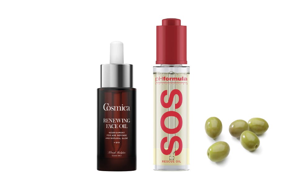 Olivenoljer: olivenolje til ansiktet, ansiktsoljer til tørr hud