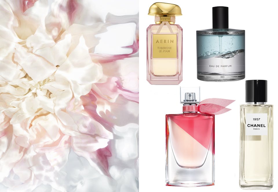 parfyme 2019 wZJvYkHLDRr0yk