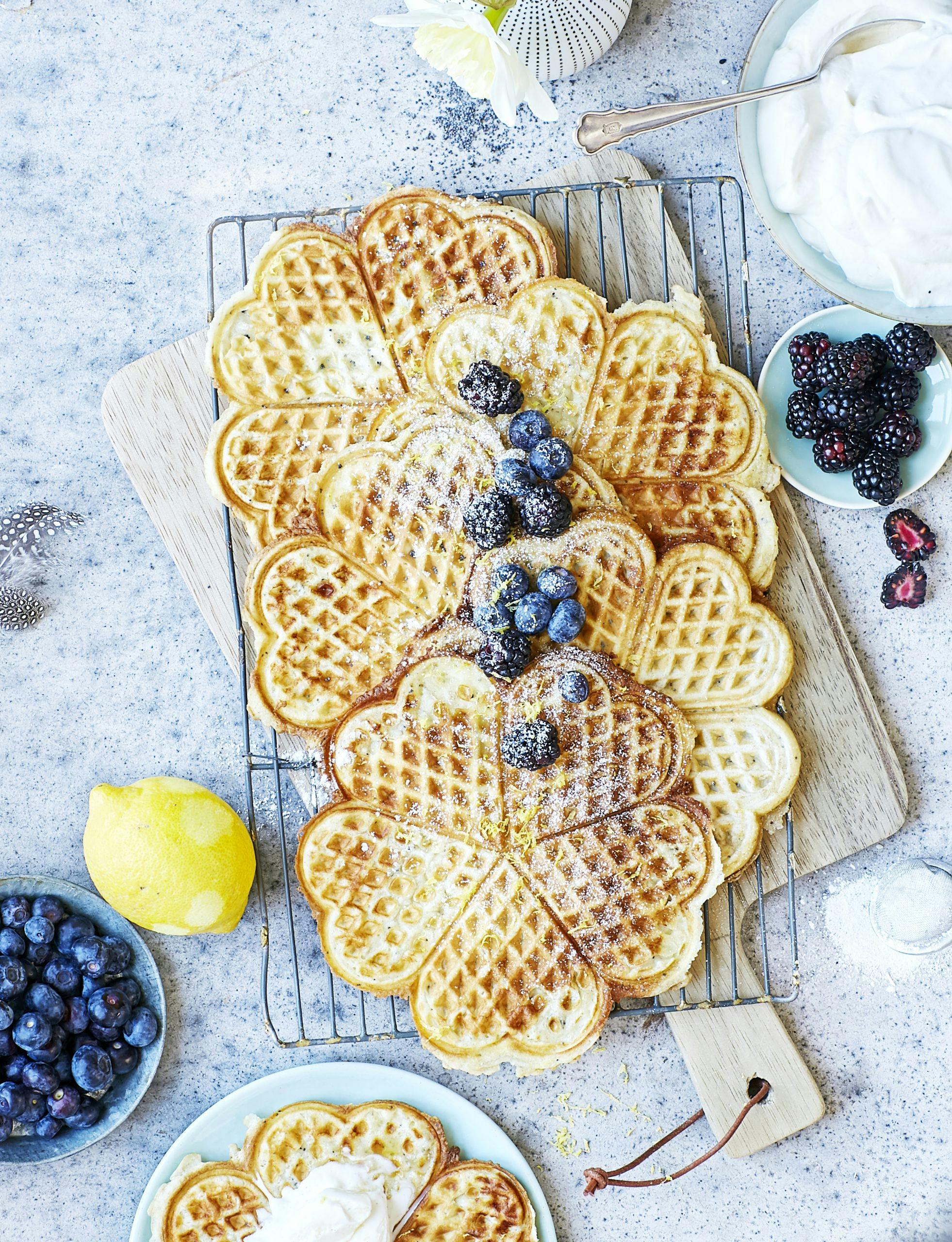 paskbrunch61650 vae Pn