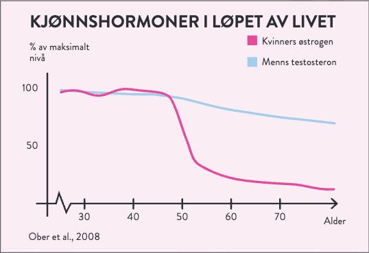 perimenopause kvinner
