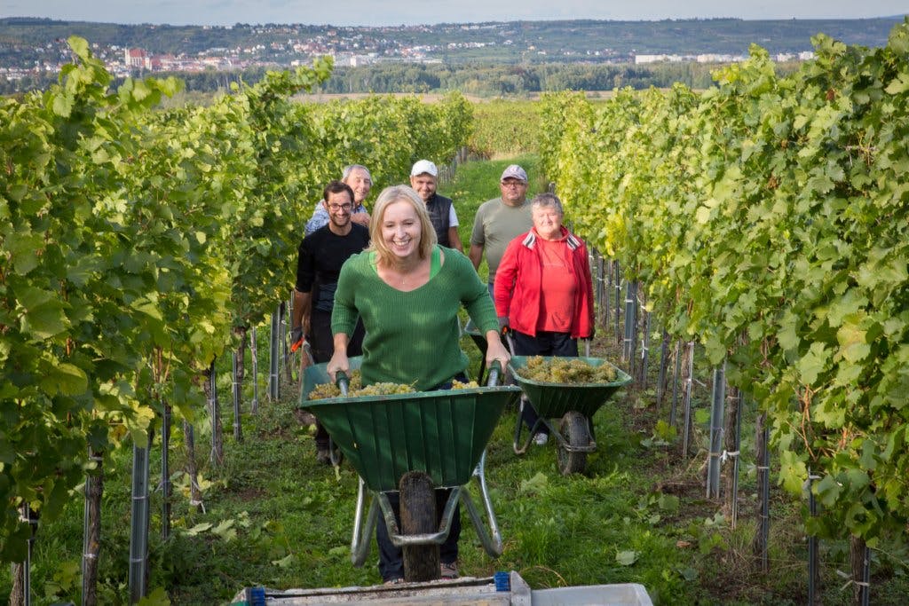 Gunnhild Bjørnsti med vinmaker Petra Unger