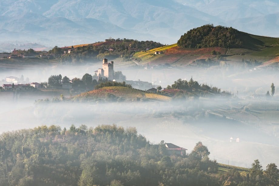 Piemontoe, Italia, reise, vinranker, morgentåke