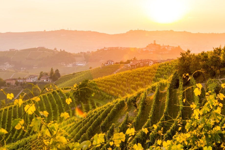 Piemontoe, Italia, reise, vinranker