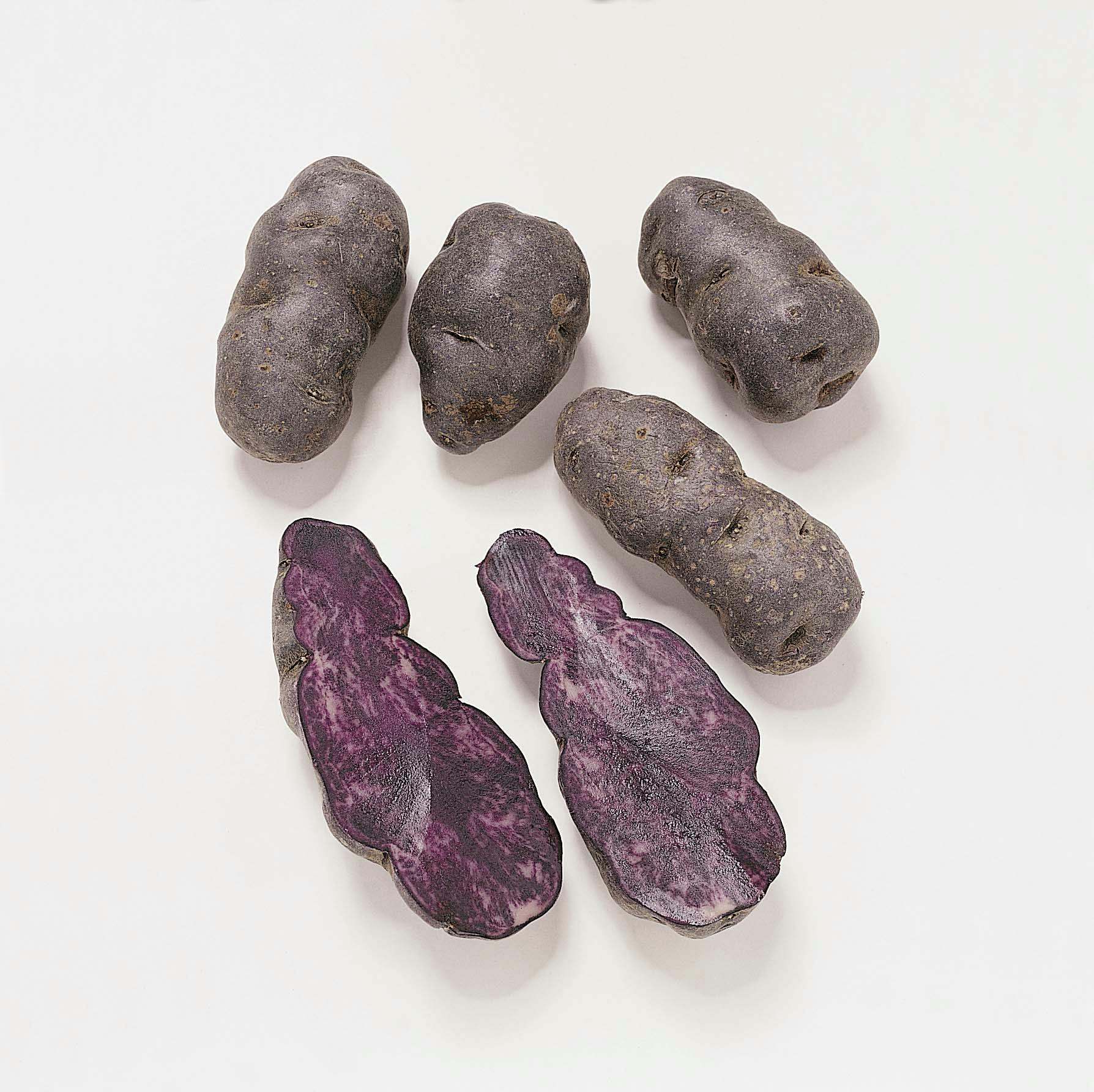 potet blaa ofg0504 blå potet