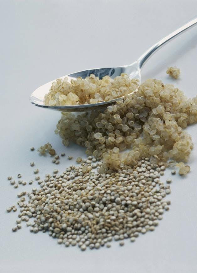 quinoa frø