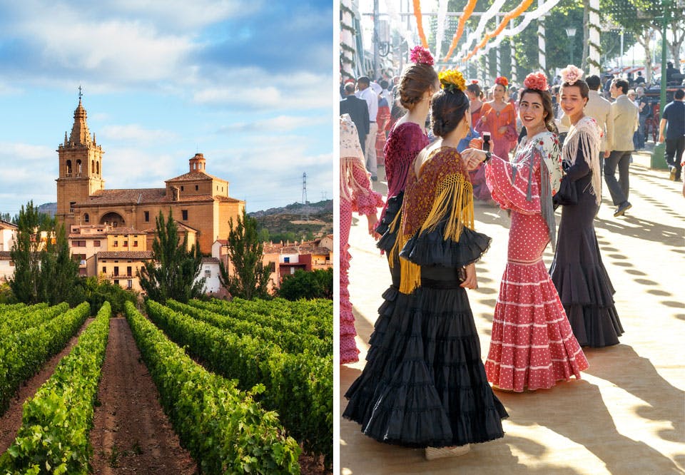 Vinranke, Spanske damer