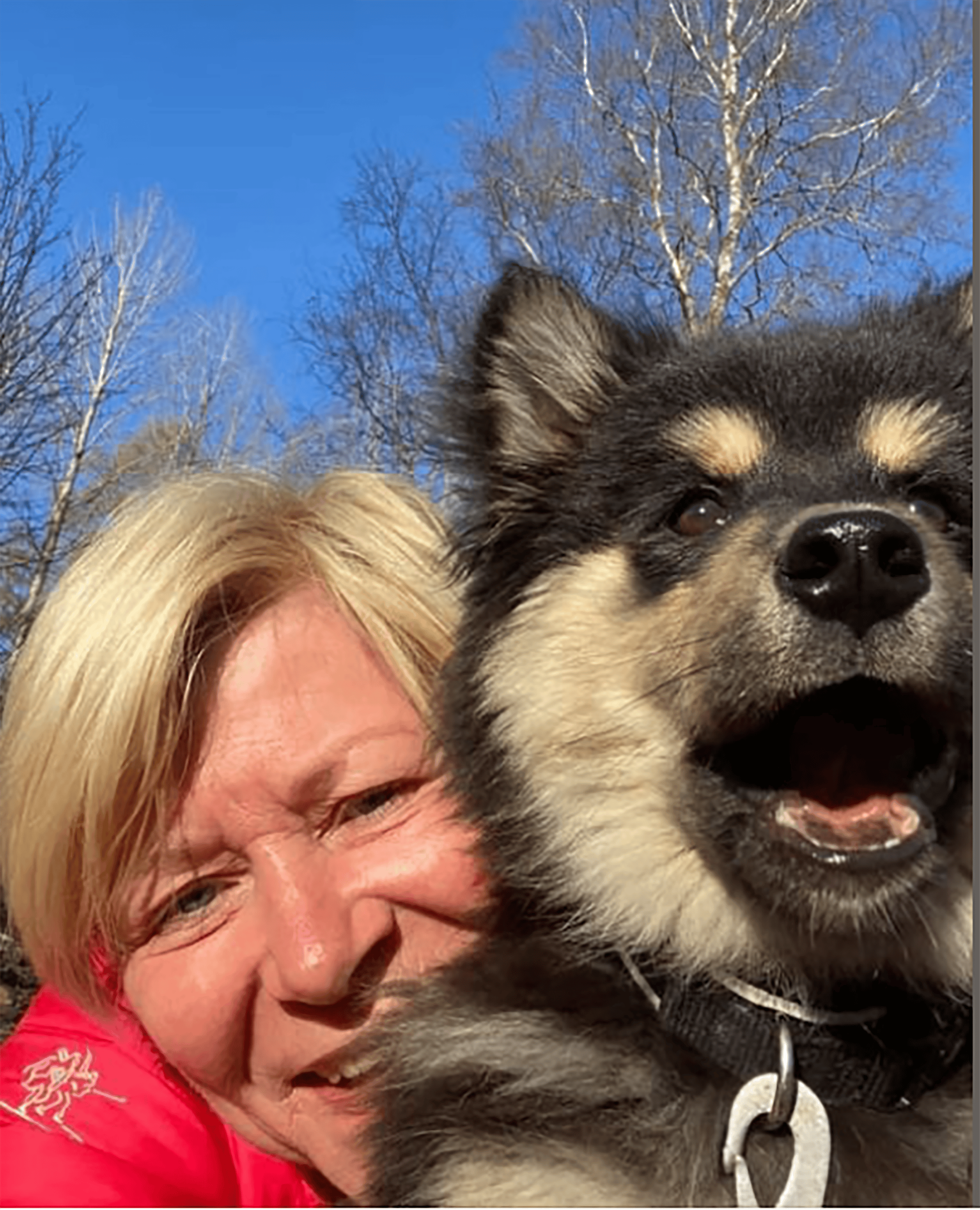 screen shot 2021 04 26 at 14 06 42 6e8tsl ljuWRyzTqOqi