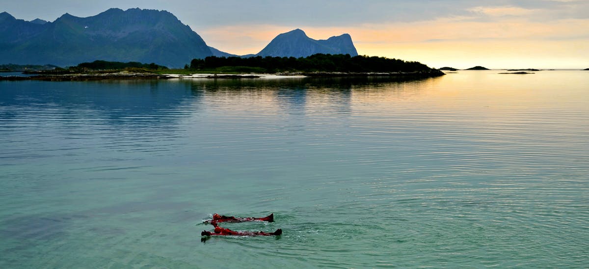 senja arctic swimming in the archipelago of bergsfjorden dsc 0378 2 IRCB5T8EX1o3AQT