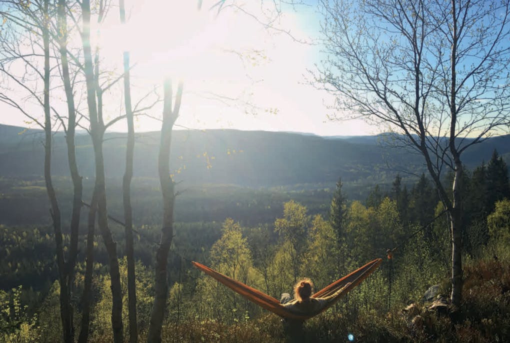 skjermbilde 2023 05 11 kl 10 32 00 baQAhj4hovVLjwcL7Wn