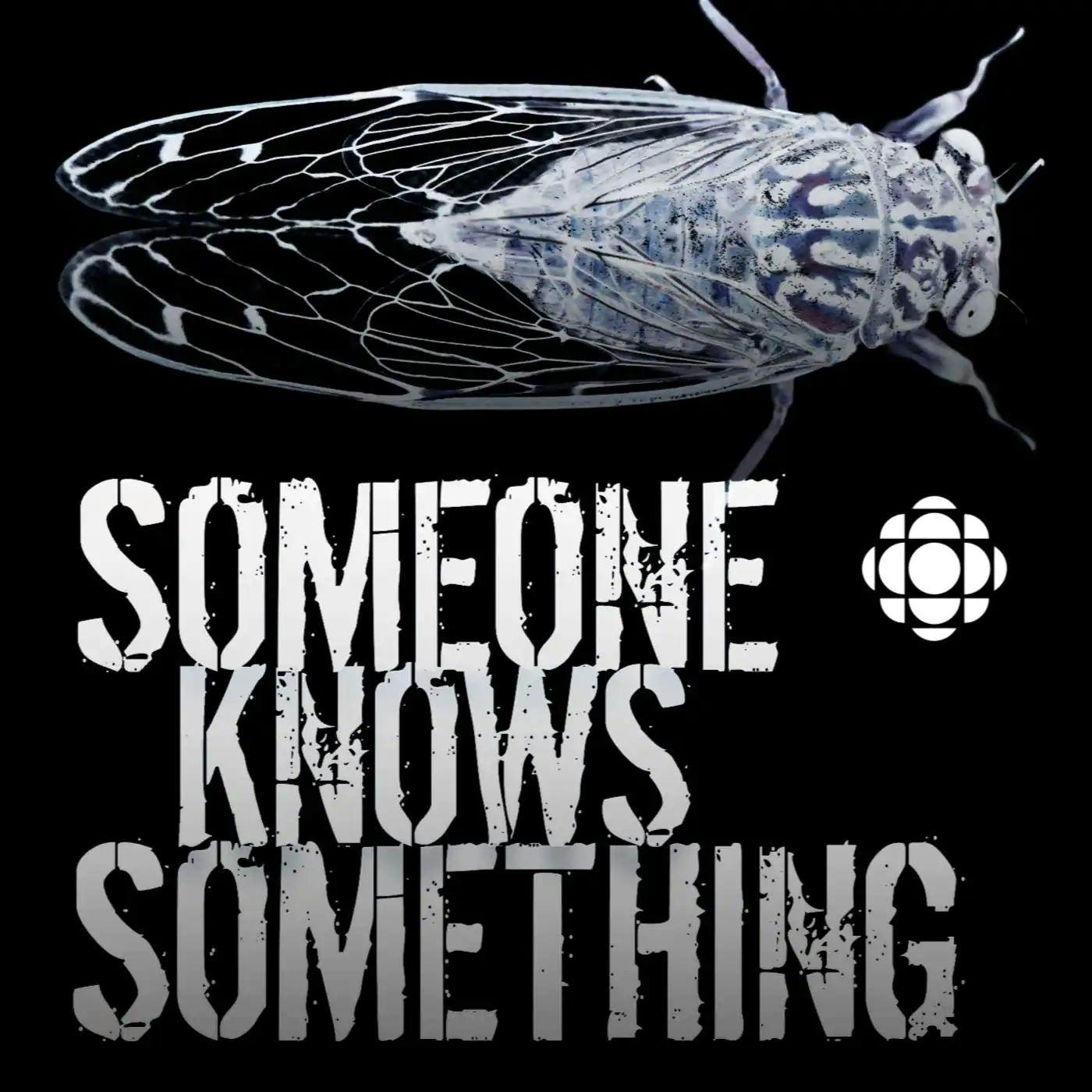 someone knows something podcast