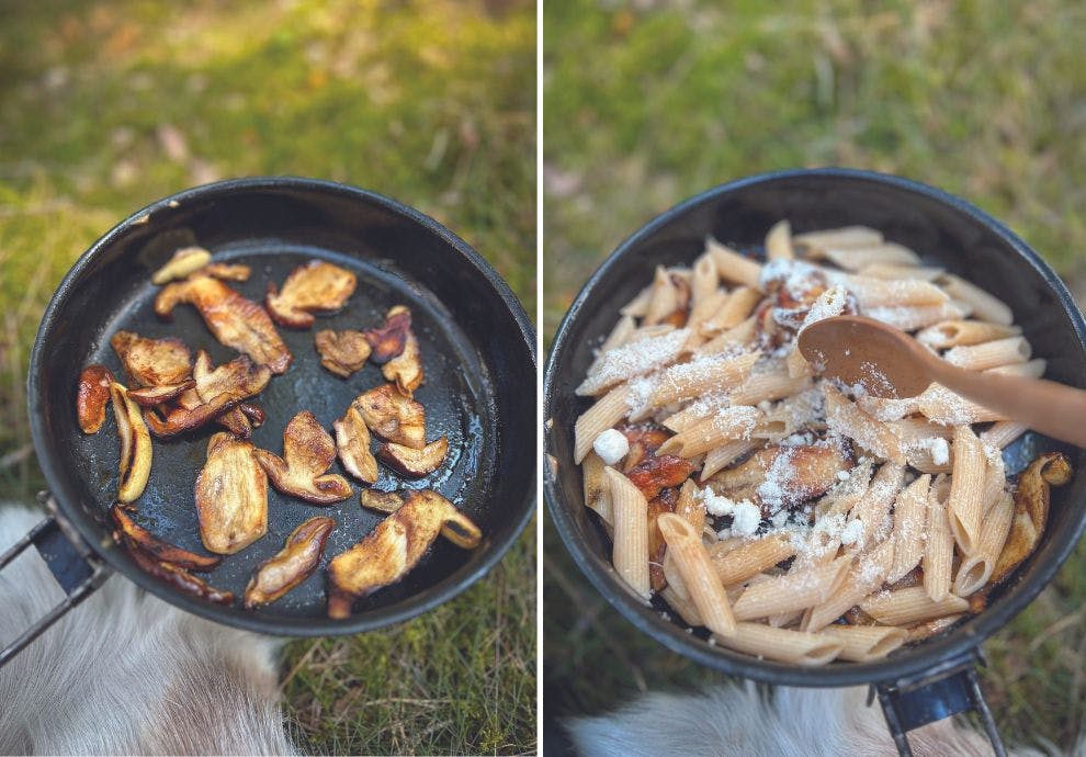 sopp collage Steinsopp pasta