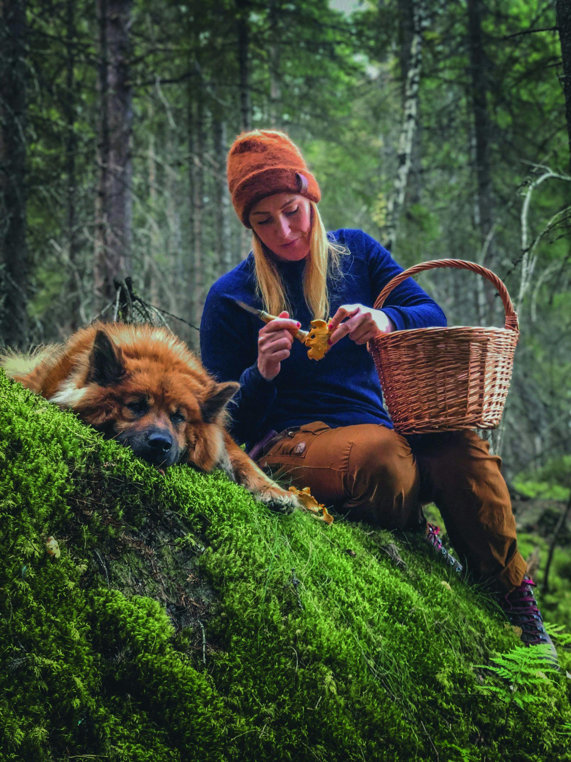 soppkurv sopptember1 YUnCoUVa0ihIJgbaQ1A