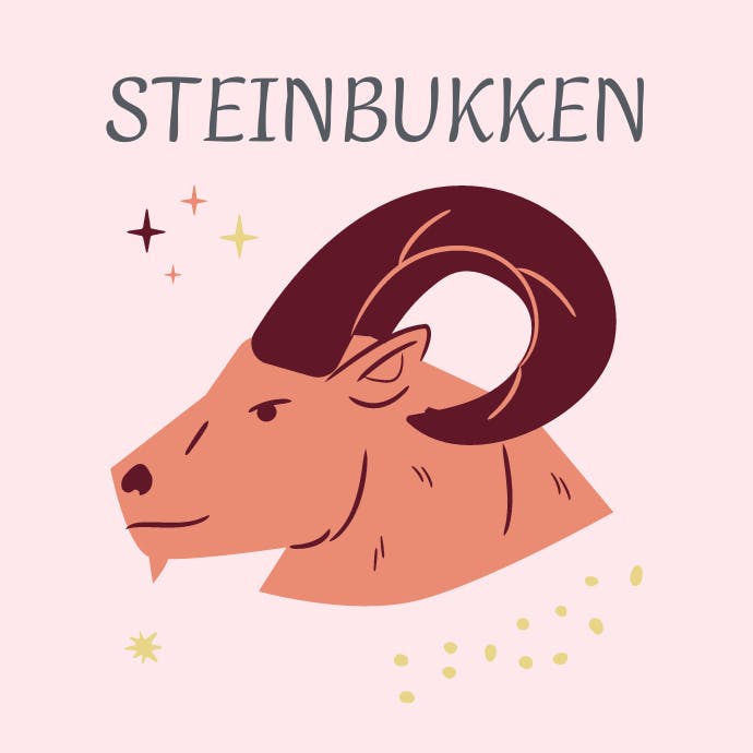 Steinbukken Stjernetegnet Steinbukken