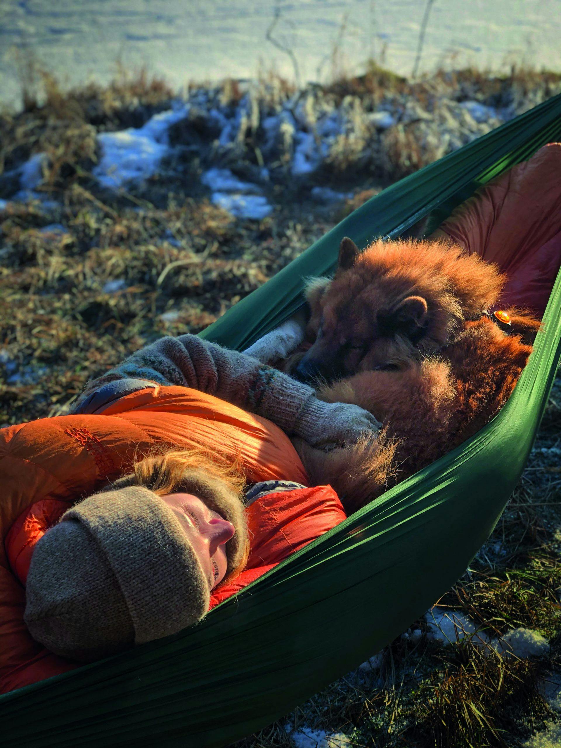 steinsfjorden hengekoye