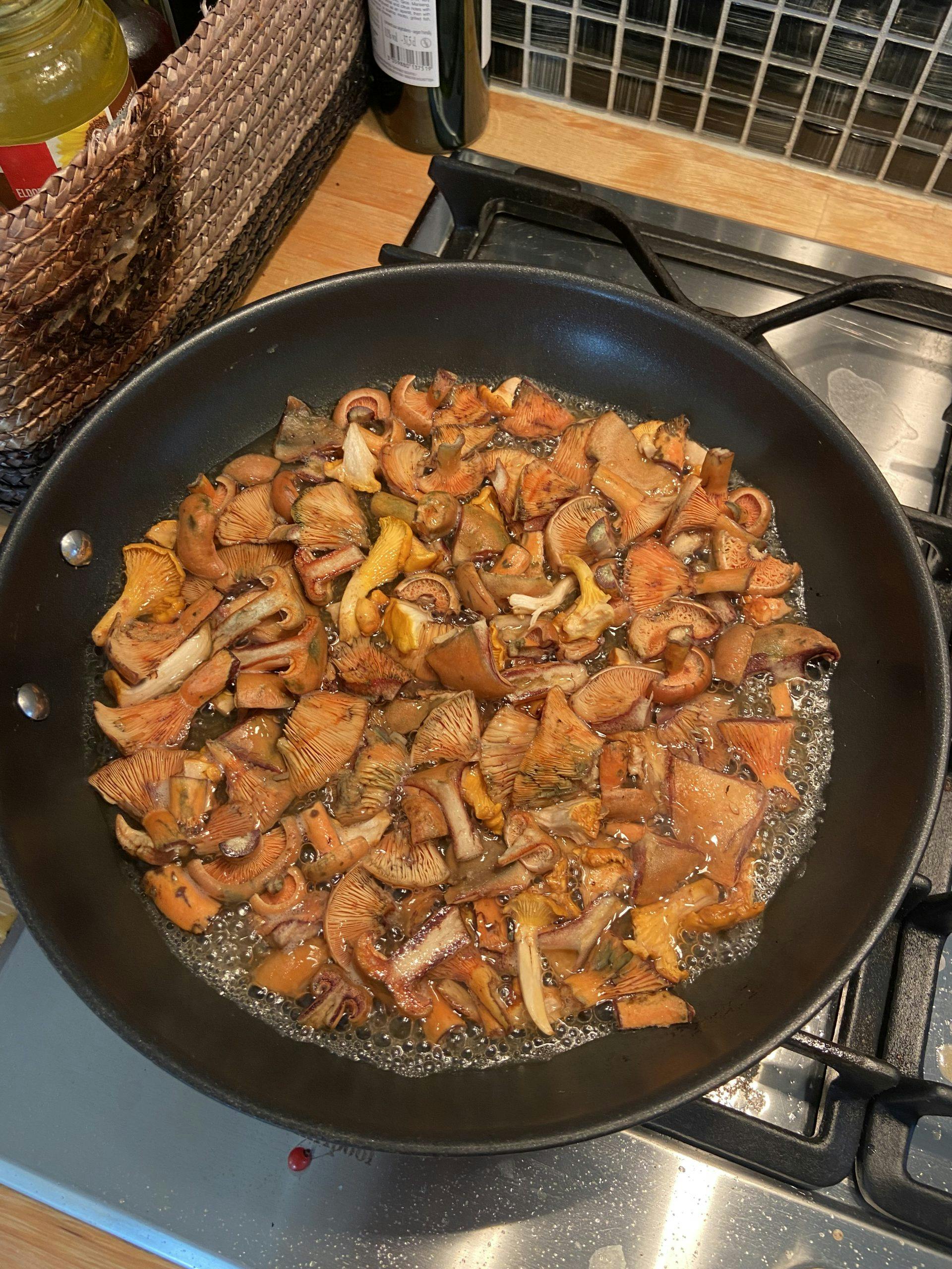 steke matriske underveis Hvordan steke sopp