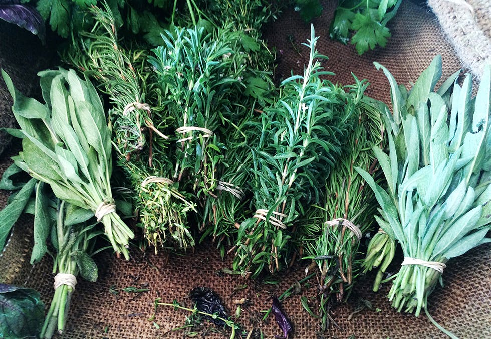 Reduser betennelser i kroppen: dempe betennelse i kroppen