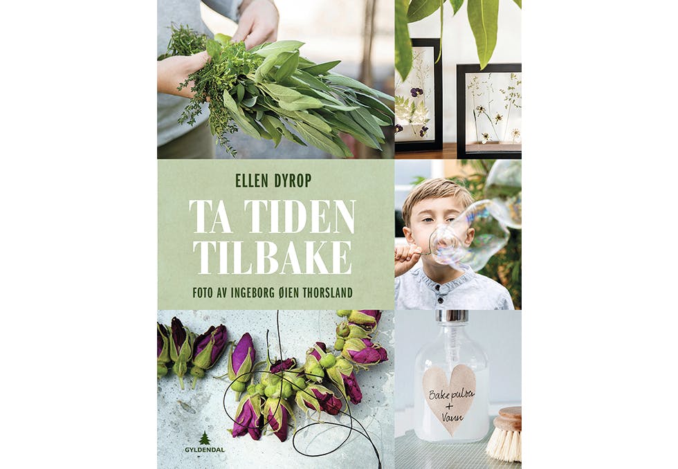 ryddetips, Ta tiden tilbake, Ellen Dyrop