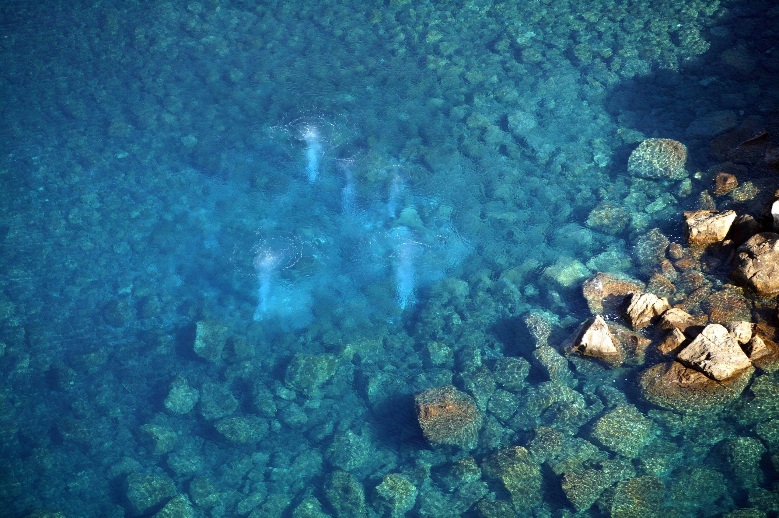 thermale bobler i vannet meqAiW