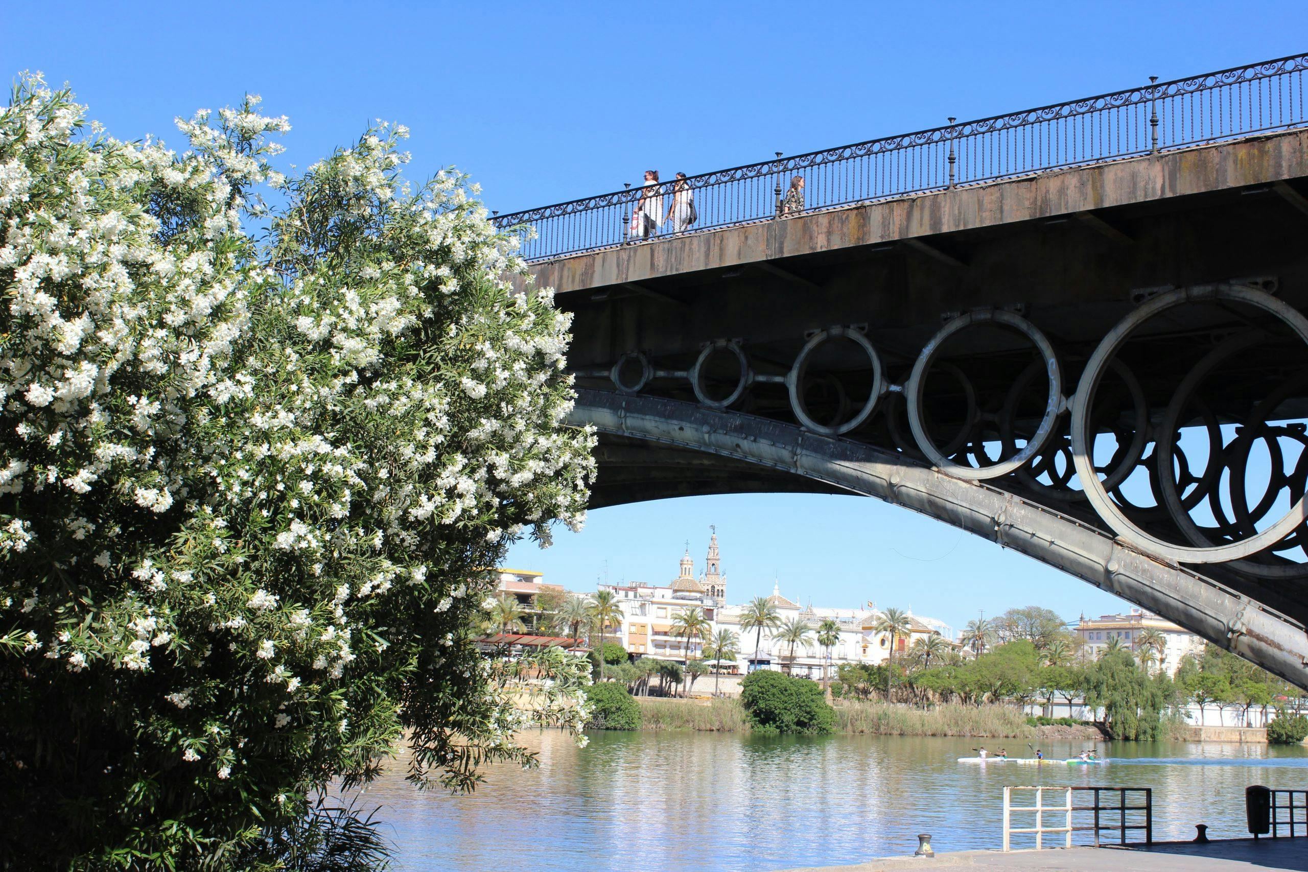 triana broen gangvei og blomster img 8423 Byvandring i sevilla
