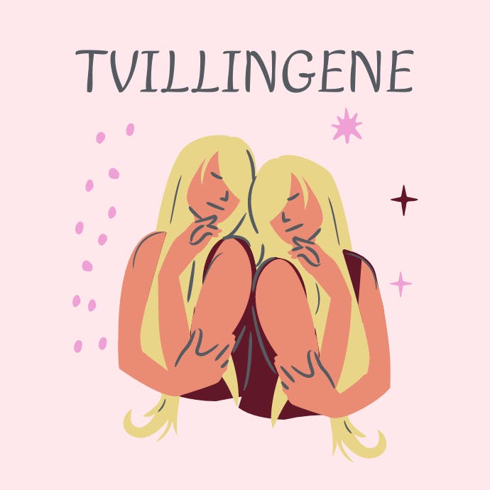 Tvillingene Stjernetegnet Tvillingene