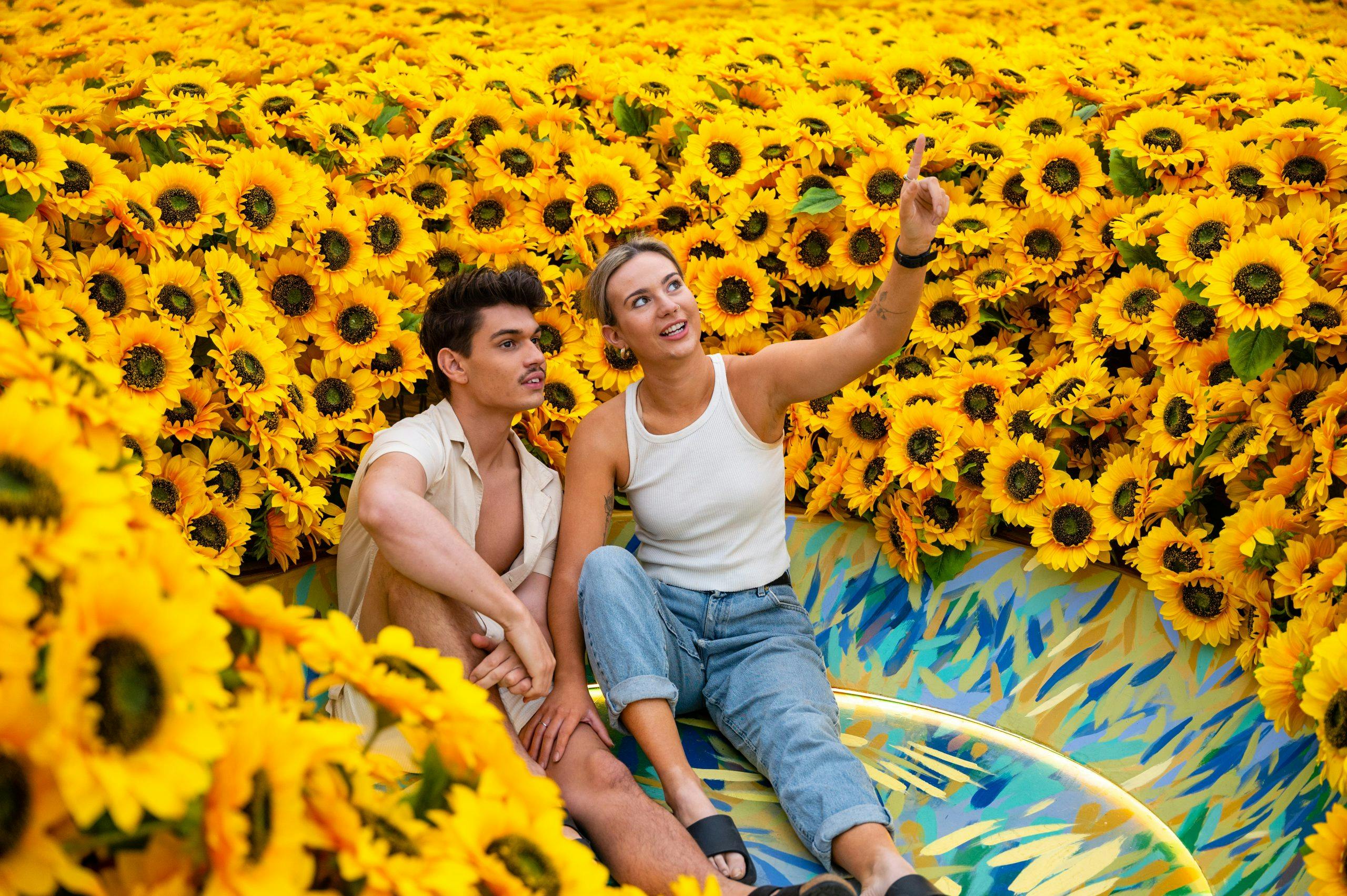 VAN GOGHS SOLSIKKER: