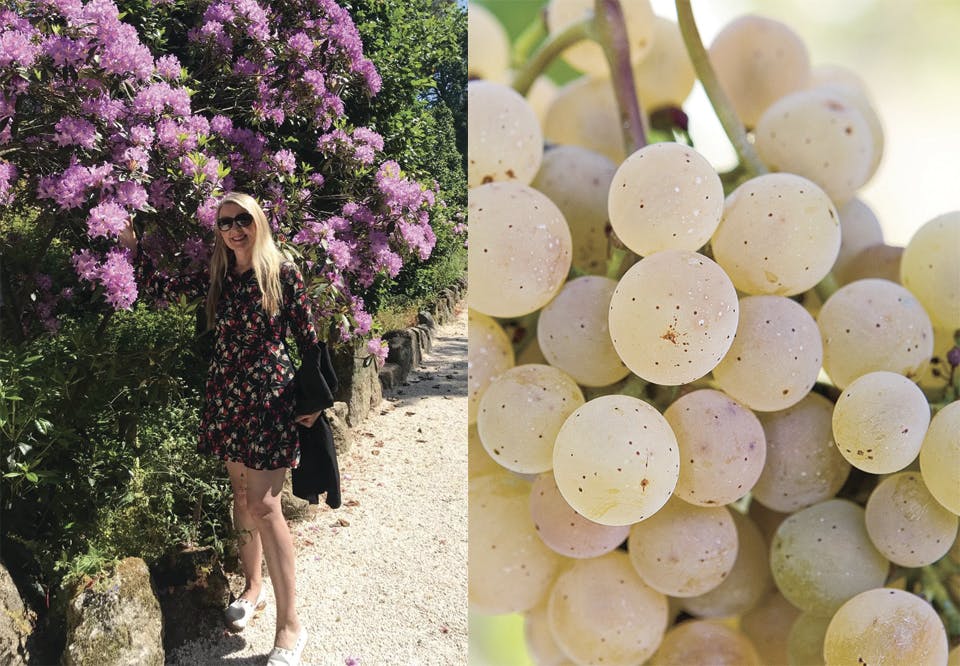 Taras vinekspert og sommelier Gunnhild Bjørnsti i Vinho Verde Portugal Alvarinho vindrue prikkete