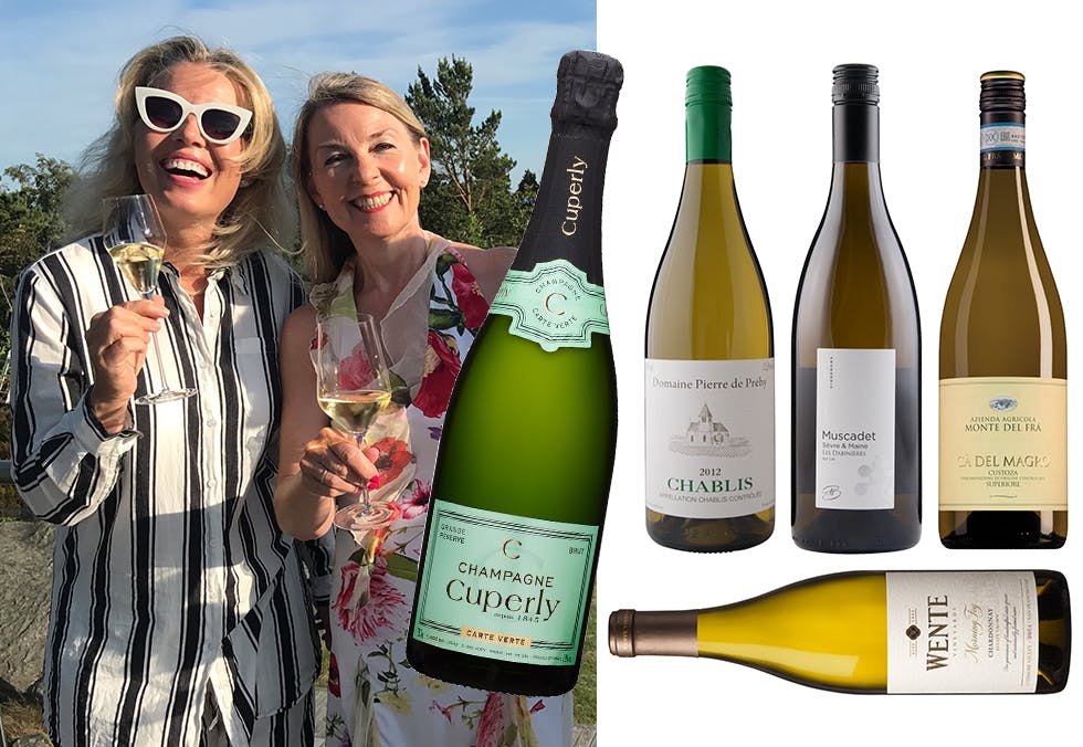 Vin til sjømat, vin til reker, krabber