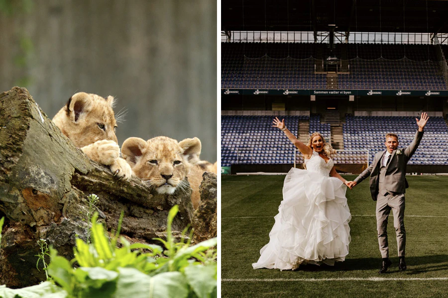 15-sjove-indslag-til-bryllup-woman-dk