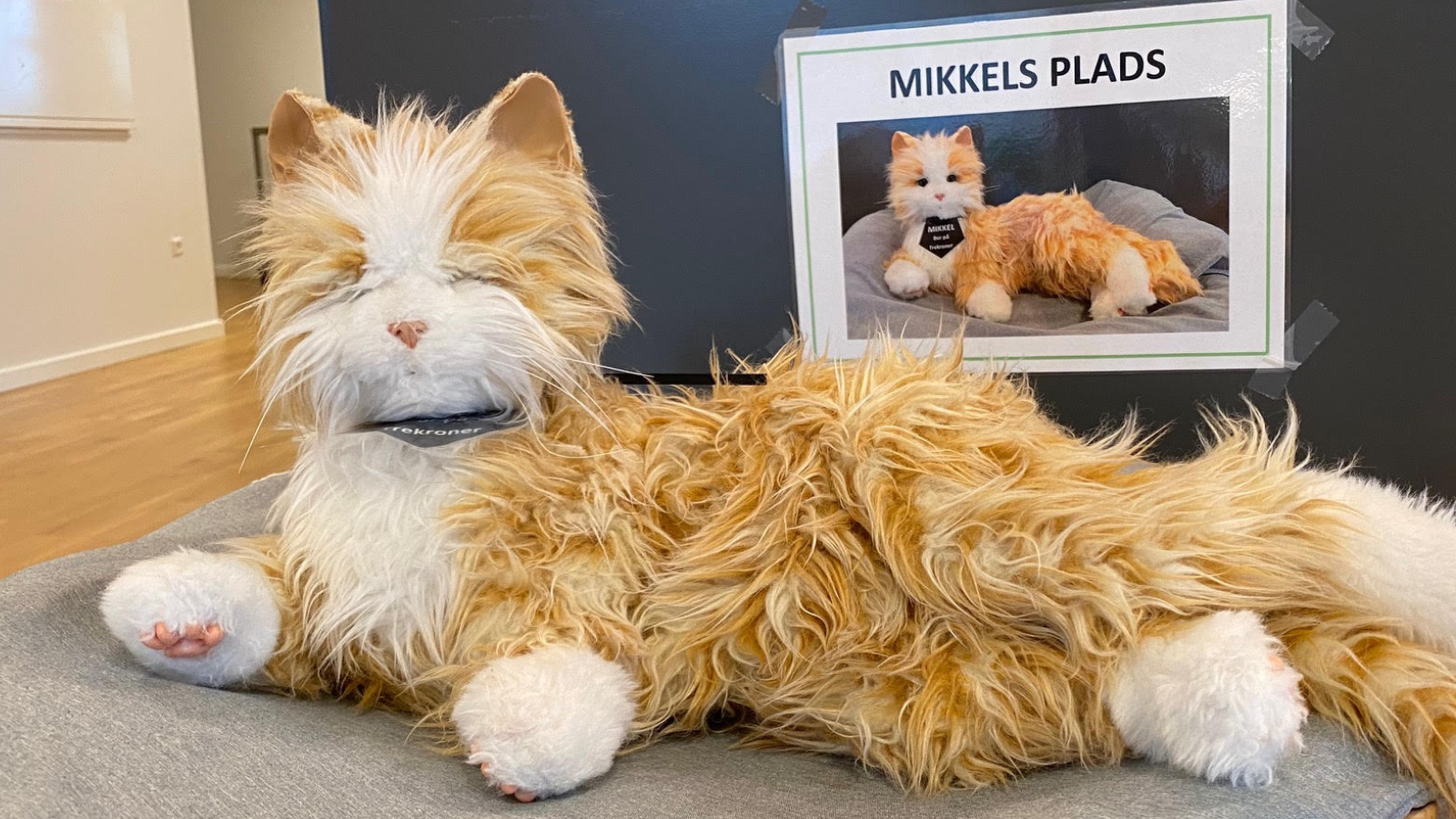 Robotkat reducerer angst og giver ro for mennesker med udfordringer ...